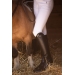 Bottes Eden by Pénélope Softy - Noir