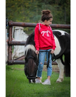 Double Zip Sweatshirt - Red