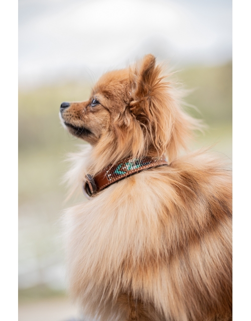 Pearl Dog Collar - Brandy & turquoise