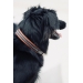 Point Sellier Dog Collar - Havana
