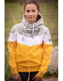 Artemis Yellow & Grey Hoodie - Children