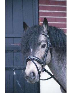 Eden Bridle - Black