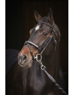 Symphonie Bridle - Black