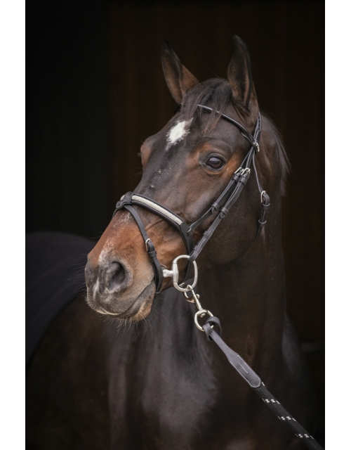 Symphonie Bridle - Black