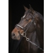 Symphonie Bridle - Black