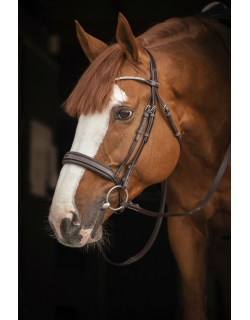 Daily Strass Bridle - Havana