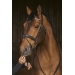 Daily Strass Bridle - Black