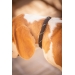 Collier pour Chien Billie - Noir